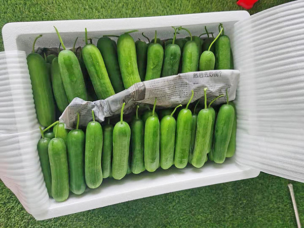 糧油配送公司教你花生油儲存方法？